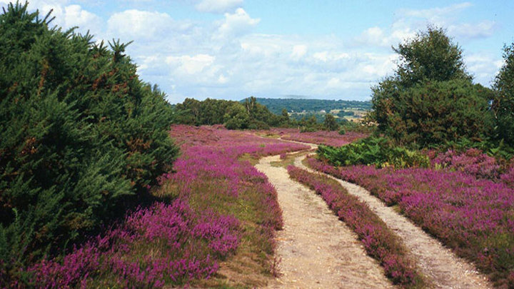 Voucher-Image-Walking-Break.jpg